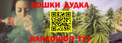 гидропоника Дубна