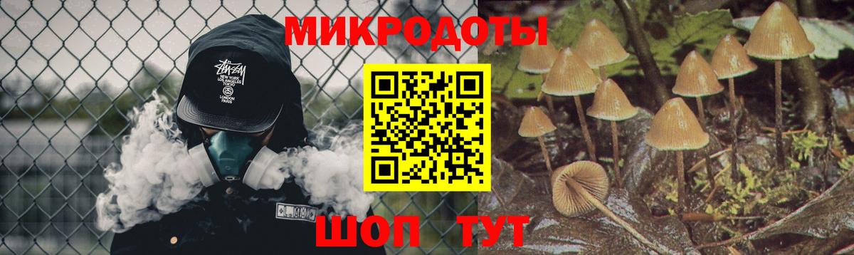 Менделеевск  Псилоцибиновые грибы Magic Shrooms  Вход с VPN  Галлюциногенные грибы Psilocybe 